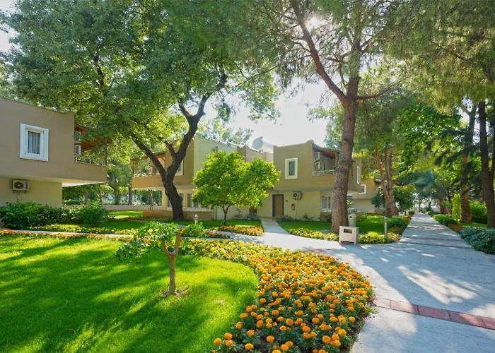 كلوب سيديلا سيدي